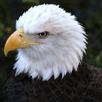 Kathleen Timko's profile image