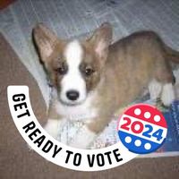 Sandra Ross's profile image