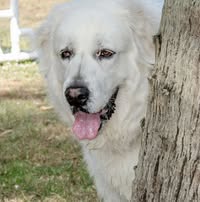 Sheila Kennedy's profile image