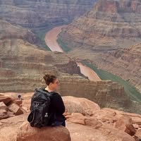 Danielle Helene's profile image