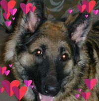 Georgia Kessler Salmons's profile image