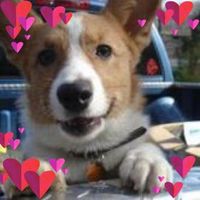 Nancy Deegan Dodge's profile image