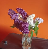 Kristin Campbell's profile image