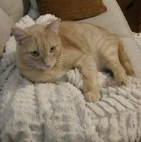 Kathy Thomas's profile image