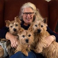 Jane Tuttle's profile image