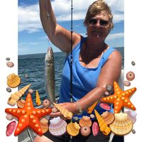 Sandy Dickson's profile image