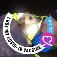 Robert Jameson's profile image