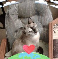 Carolyn Hathorn's profile image