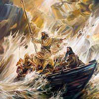 David Sardone's profile image