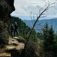 Karen Sirman's profile image