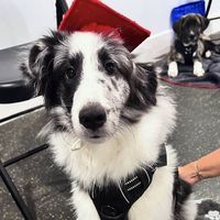Jenny Price's profile image