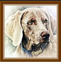 Stacey Lilly Norris's profile image