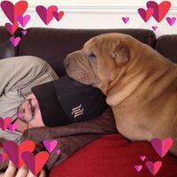 Dirk Dusk's profile image