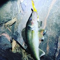 Bill Spahr's profile image