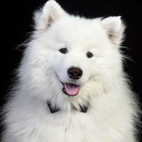 John Francis's profile image