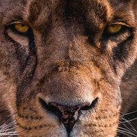 Leonel Cruz's profile image