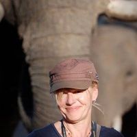 Lotte Roache's profile image