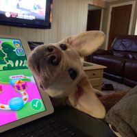 Colette Marie's profile image