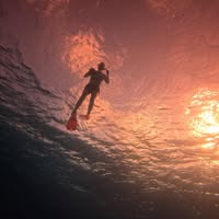 Nicole Frets's profile image