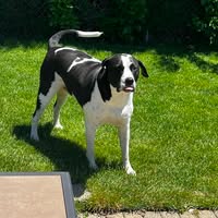 Scott Sieger's profile image