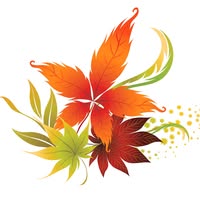 Ina Vazquez's profile image