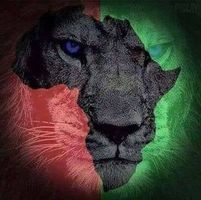KC Long's profile image