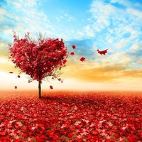 Stephanie Rivas's profile image