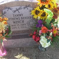 Tammy Matthews's profile image