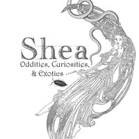 Shea Devine's profile image