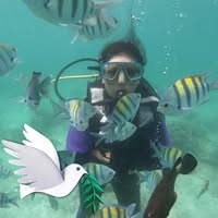 Tina Panah's profile image