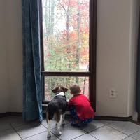 Heather McLaughlin's profile image