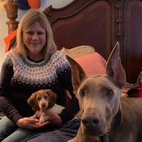 Alton Wallace's profile image