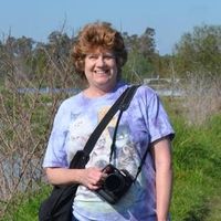 Janet Stebbins's profile image