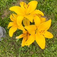 Summer Bailey's profile image