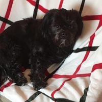 Mary Kathleen's profile image