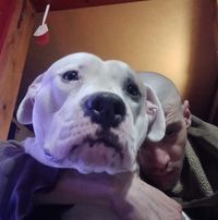 Chad Dorsey's profile image