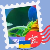 Suzanne Pergolato's profile image