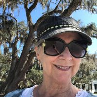 Nora Nehls's profile image