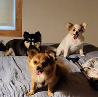Pamela Marie Hunt's profile image