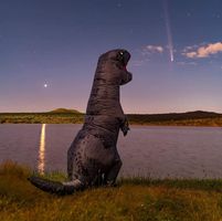 Vivian Hance's profile image