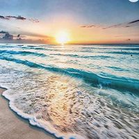 Pierre Hybrid's profile image