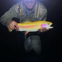 Gregg Guthridge's profile image