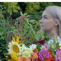 Dee Knell's profile image