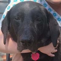Michelle Bradley's profile image