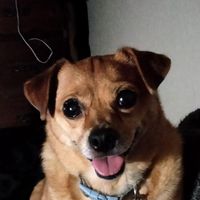 Marie Blackbear's profile image