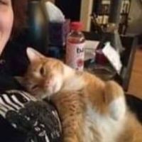 Linda Couch's profile image