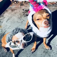 Enjoli Marley Lilley's profile image