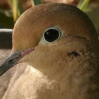 Steve Lundquist's profile image