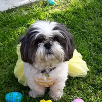 Mara Martinez's profile image