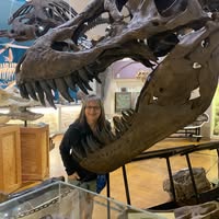 Nancy Schmidt's profile image